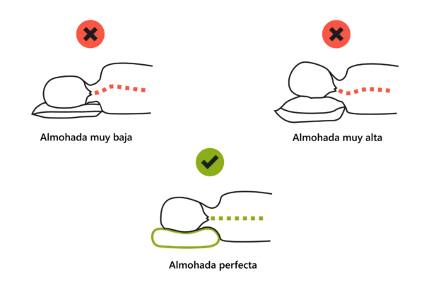 Infografía de posturas de uso: posiciones incorrectas marcadas con X y posición correcta marcada con check verde