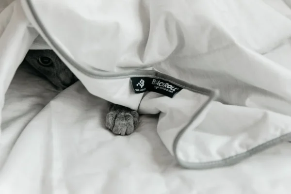 Detalle de la esquina de la Blackroll Recovery Blanket Summer mostrando la etiqueta de marca y el ojal metálico